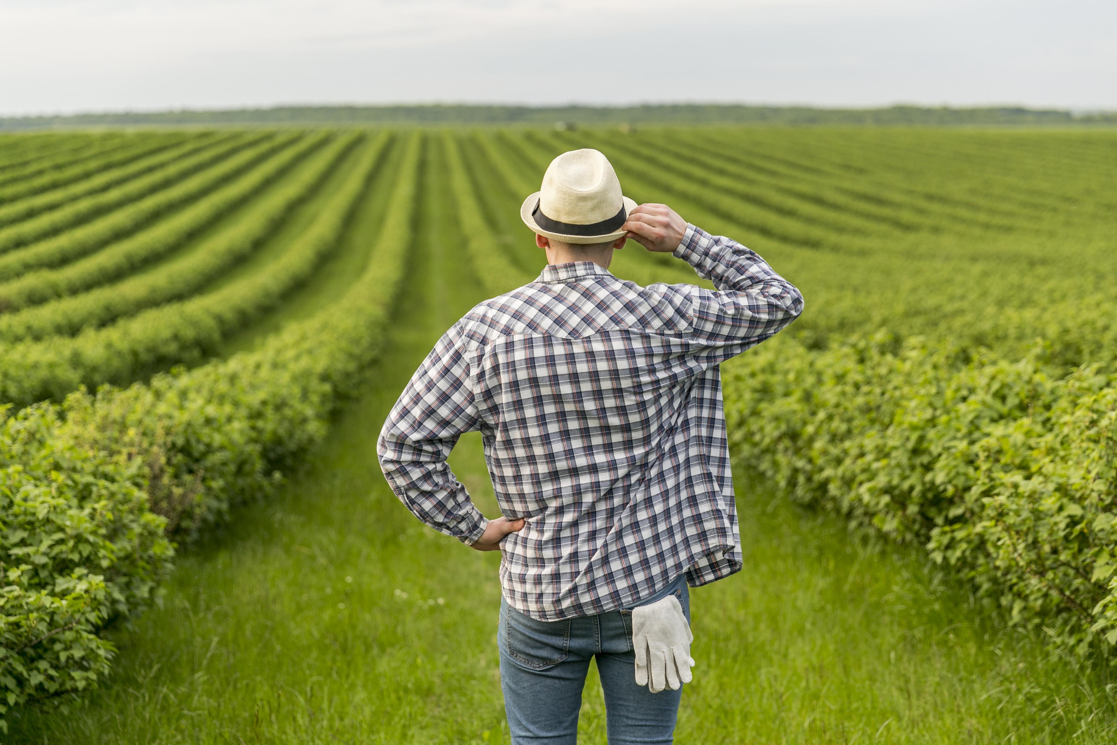 Hombre trabajando en tierras de labrantío